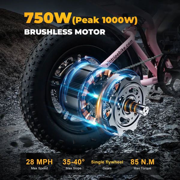VICTRIP®R6 Off Road E-bike