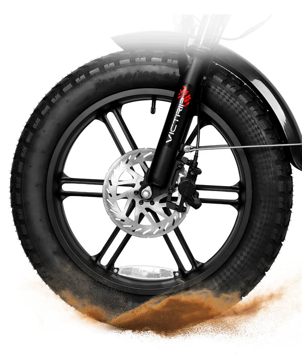 VICTRIP® T6  Foldable Long Range Electric Bike