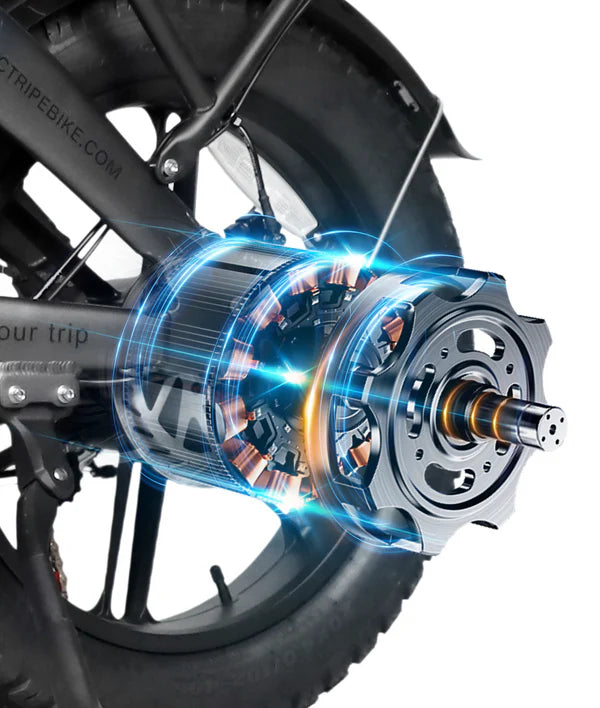 VICTRIP® T6  Foldable Long Range Electric Bike
