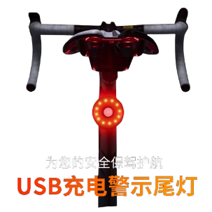 2021 new bicycle tail light USB
